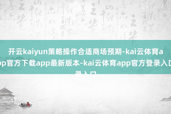 开云kaiyun策略操作合适商场预期-kai云体育app官方